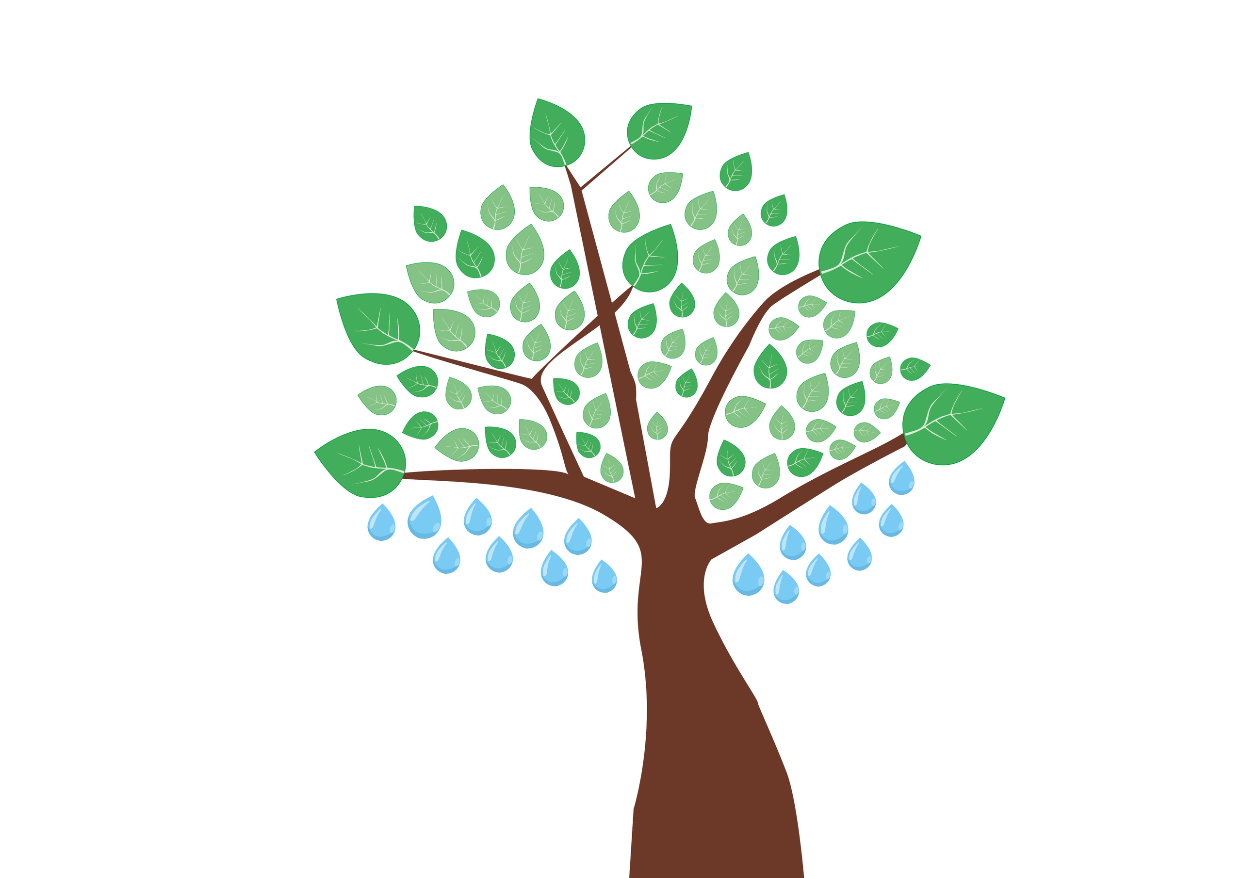 81 2203 Klimasalon Baum JR