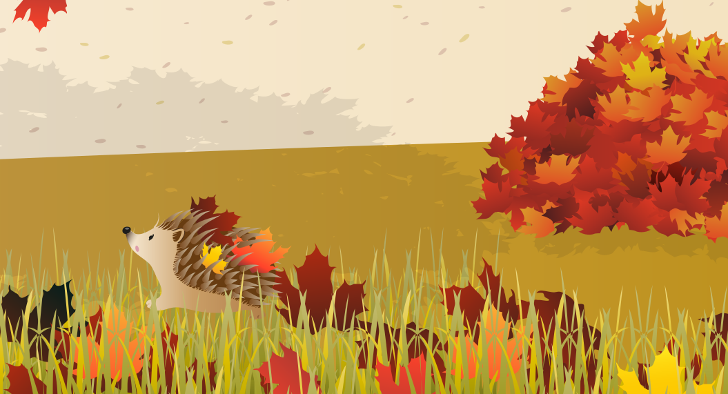 Igel Bernhard (c) dandelion tea