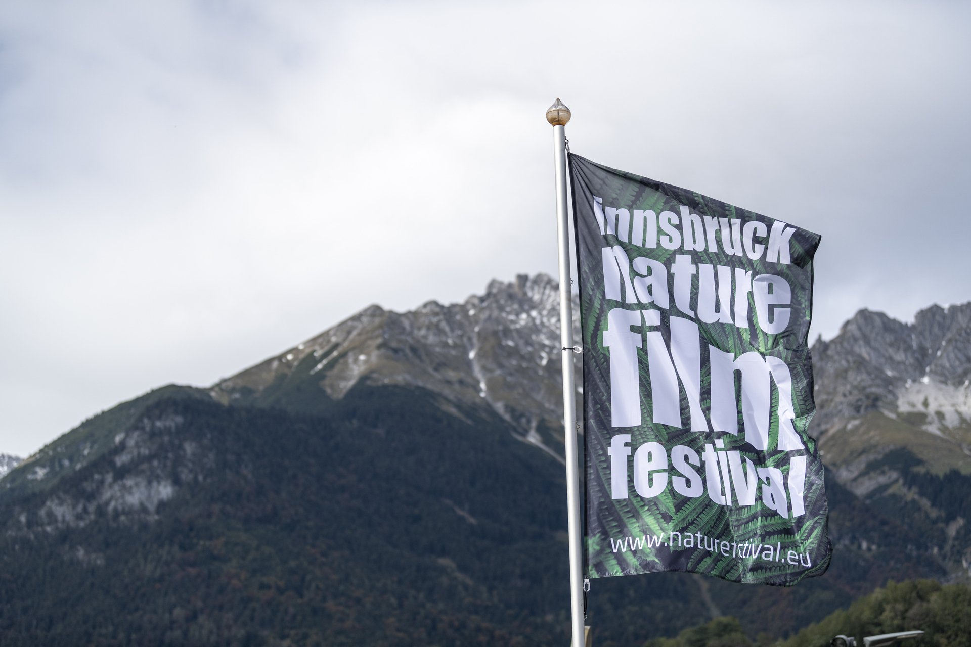 INFF Flag Mtn 0392 (c)Stadler