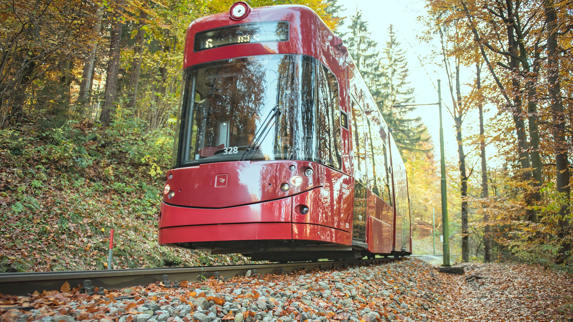 waldstrassenbahn 01